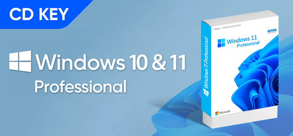 Microsoft Windows License
